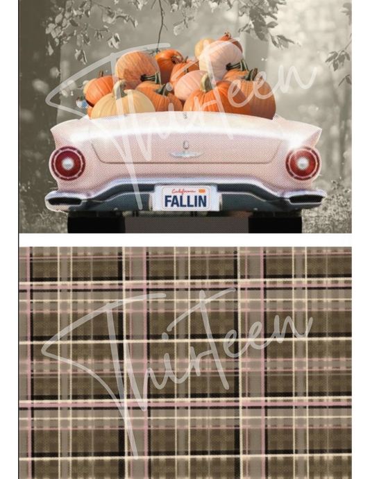 "Rebel Rouser and Plaid" SET Decoupage Paper