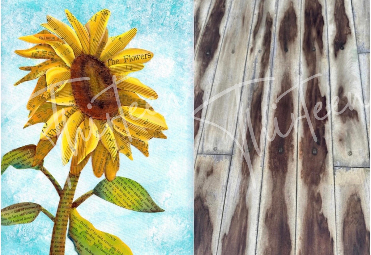"Sunflower and Companion Worn Wood" SET Decoupage Paper
