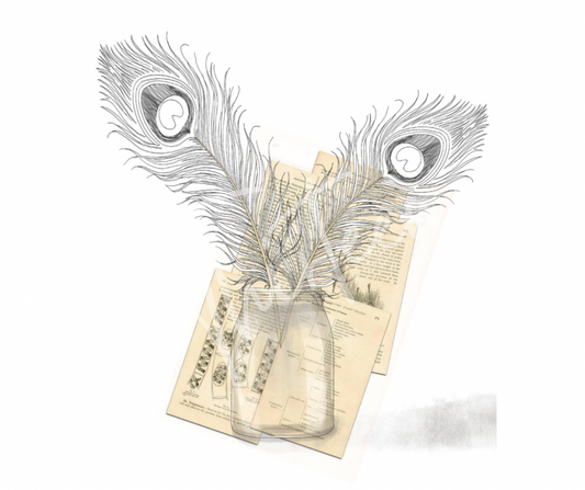 "Feather" Decoupage Paper