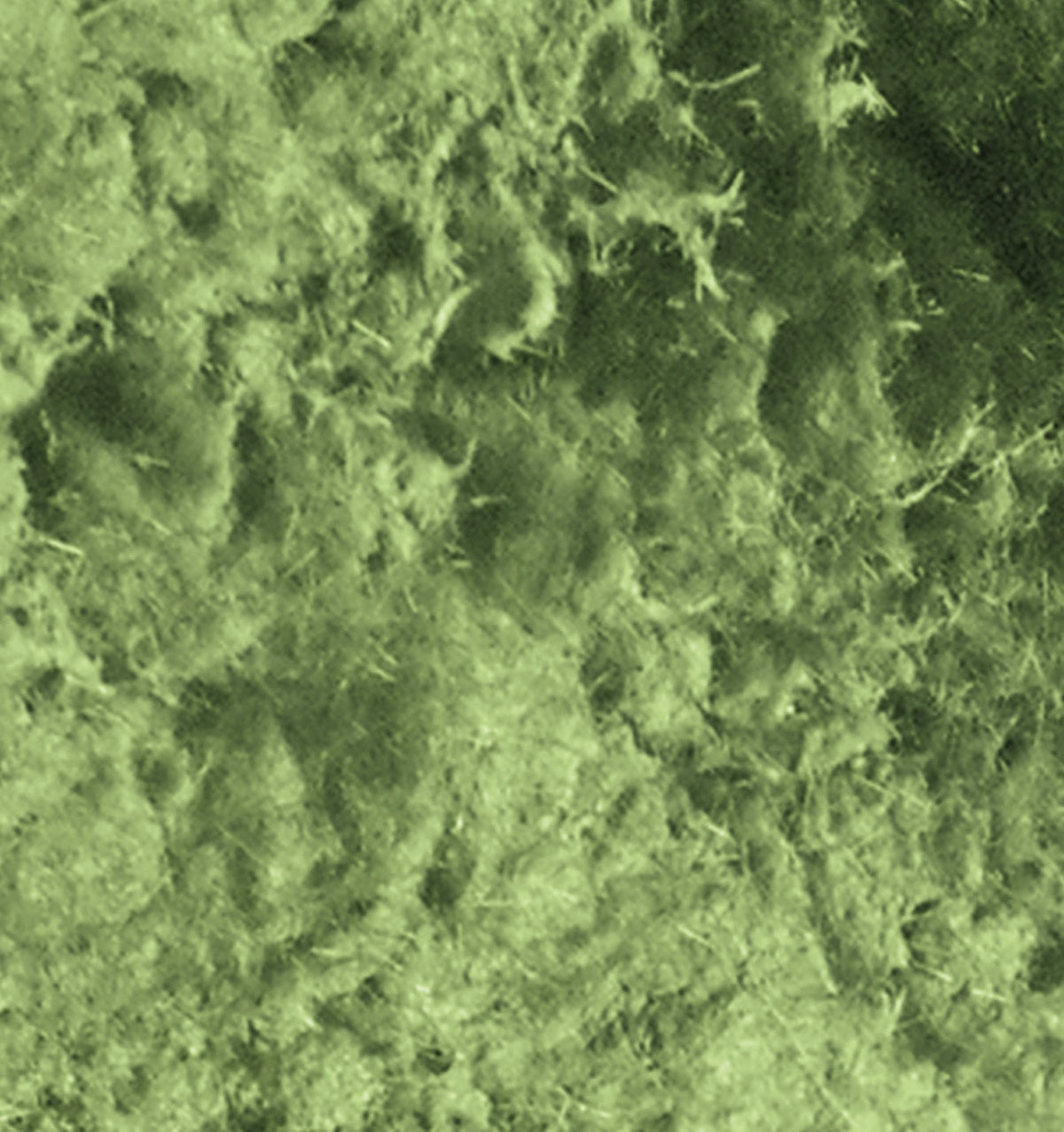 Moss /Grass Effect Paste